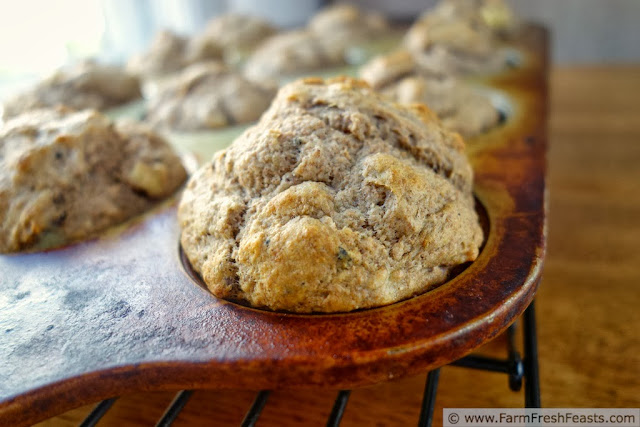 Image of a muffin pan filled with sugar free banana date pecan muffins