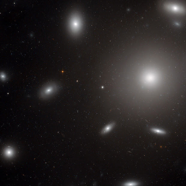 Giant Elliptical Galaxy NGC 4874 in the Coma Galaxy Cluster