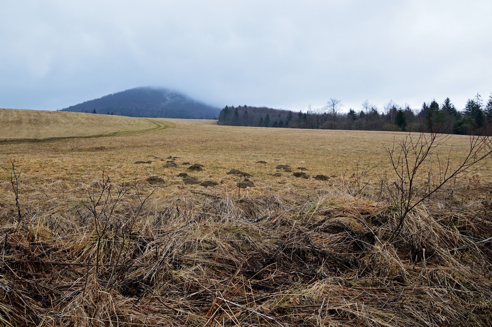 Beskid Niski, Widok na Lackową