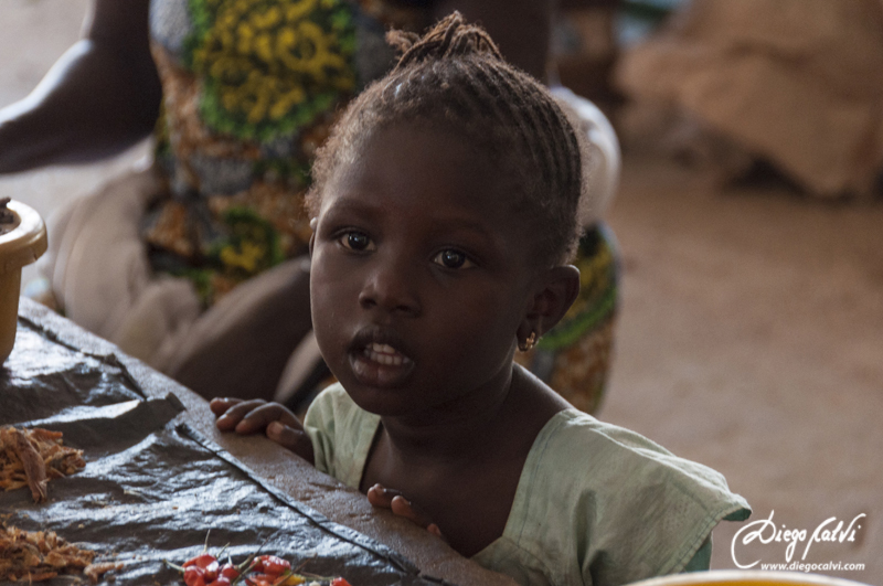 Janjanbureh (Georgetown) - Gambia, el país de los niños (3)