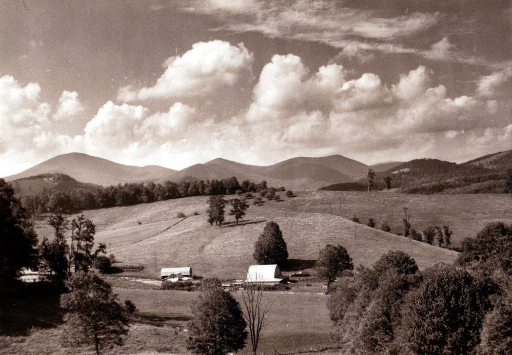 Jungle Red Writers "Oh, Kaye!" Talks About Life In Meat Camp, NC