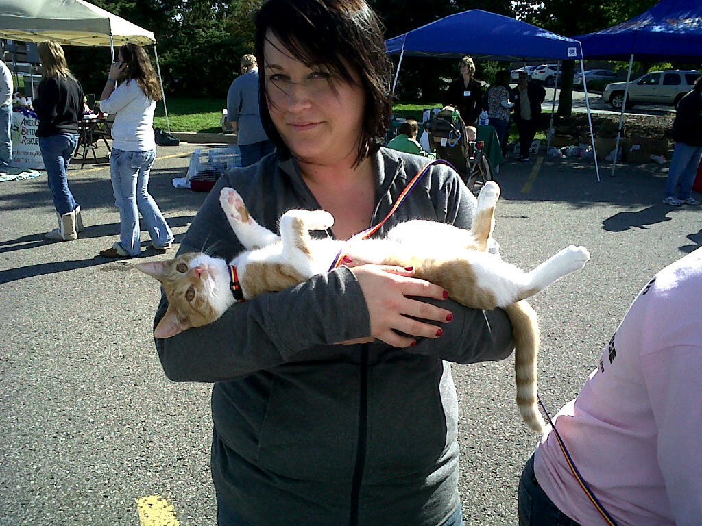 Emily's Animal Rescue Journey: Petco Adoptathon and Kissing Booth a