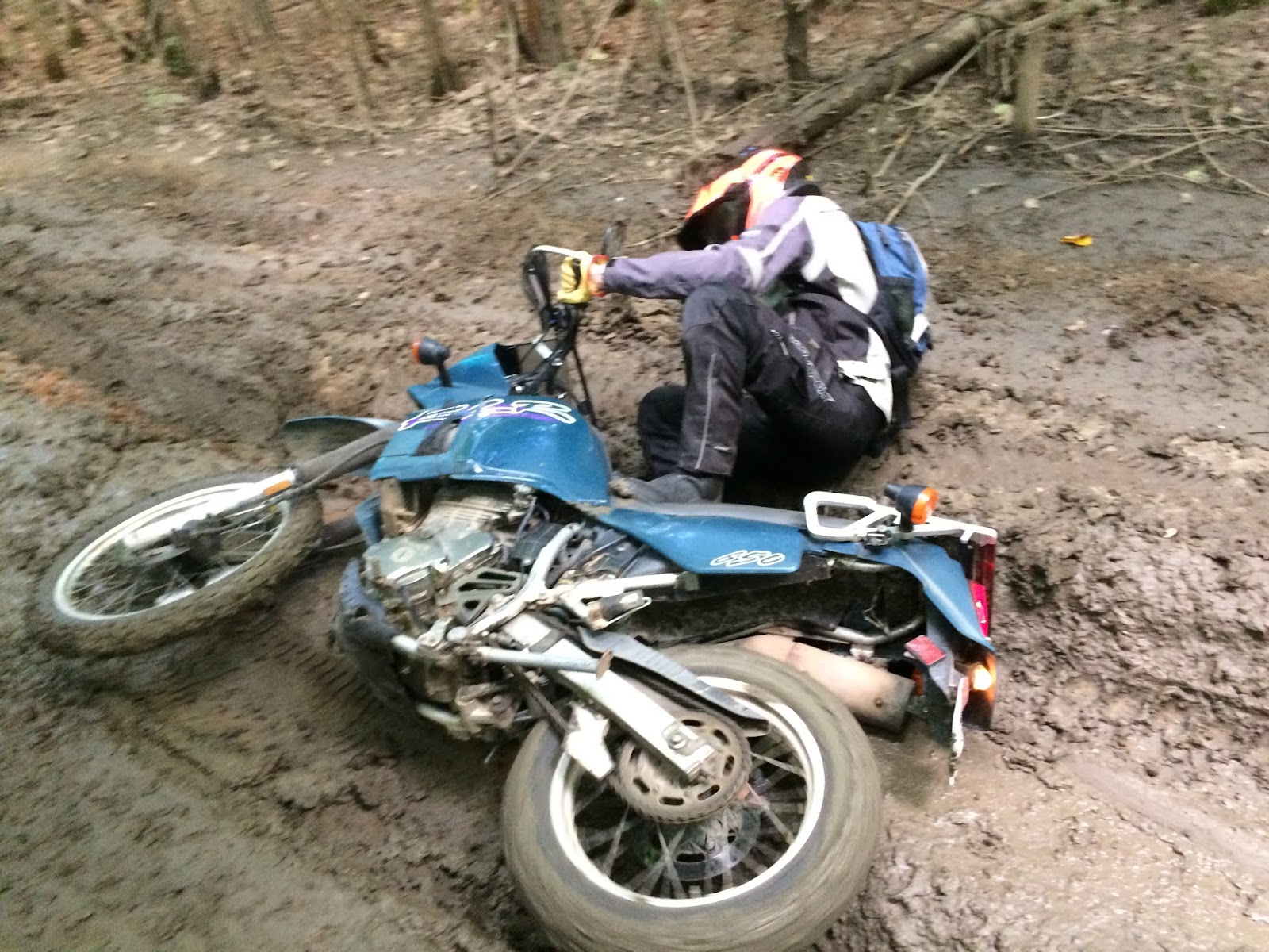 Dualsport Diary Review Shinko 700 dualsport tires