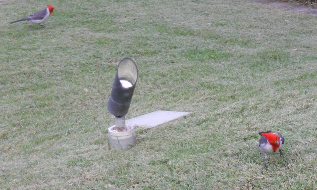 Honolulu Waikiki House Without A Key