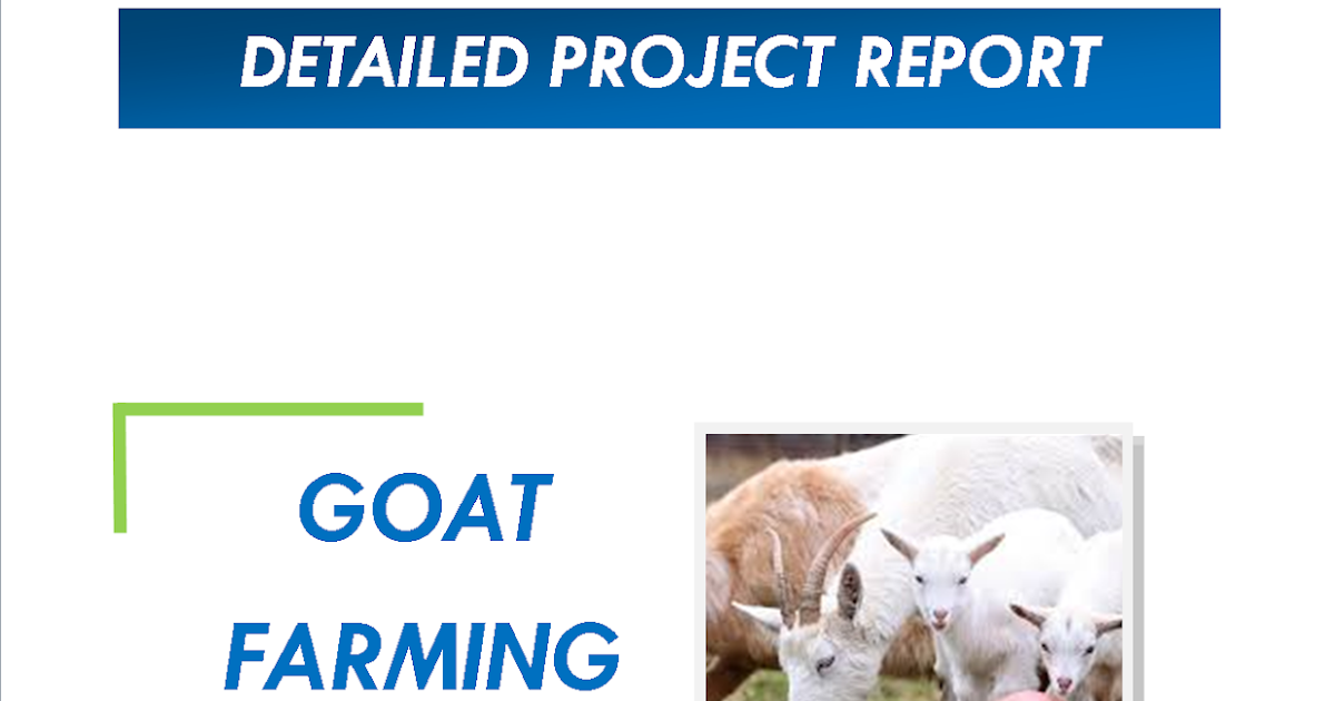Goat Farming Project Report Space Consultancy Services