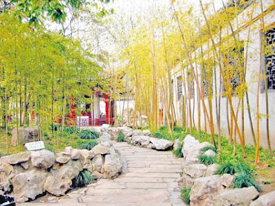 El bambú en el jardín | Belleza, Salud, Decoracion y Estetica