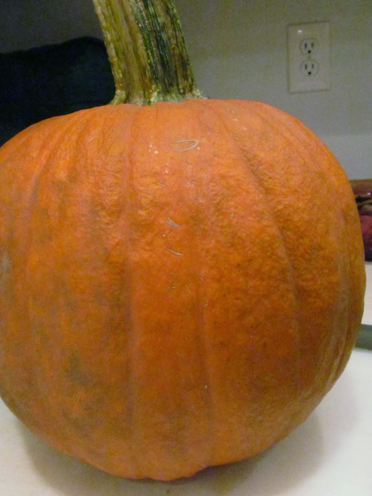 Shoes and Shortcakes: Cooking Pumpkin