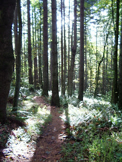 the Nature of Portland: Mount Talbert Nature Park: A Clackamas Gem