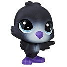 Littlest Pet Shop Ace Blackbird Generation 6 Pets Pets