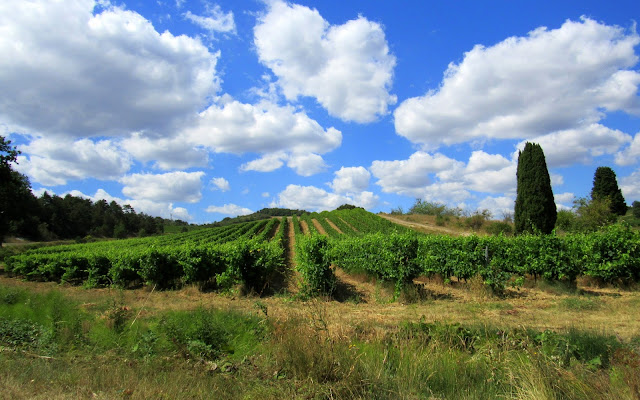 Languedoc Rousillon