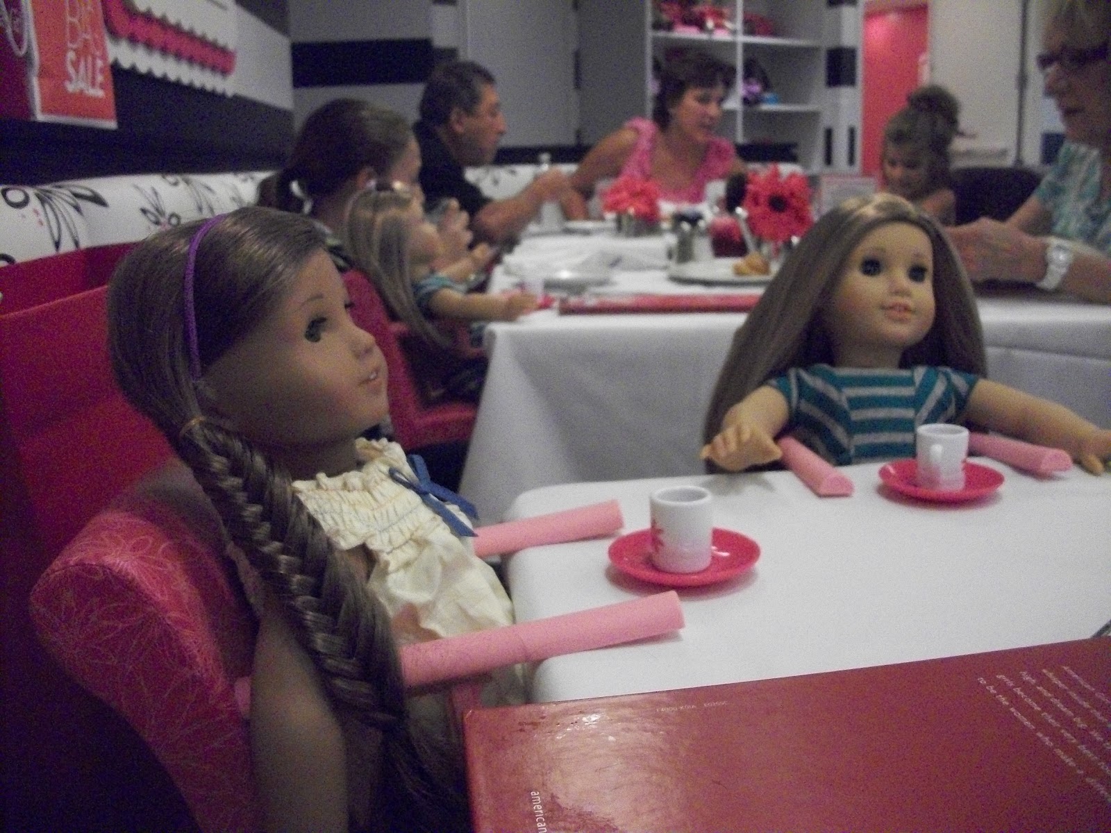 AG Doll Divas American Girl Place Chicago! D