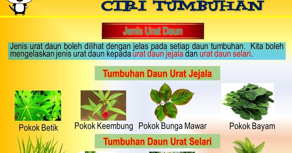Sains Tahun 3 Tumbuhan  Tahun 3  Sains  Cara Pembiakan dalam