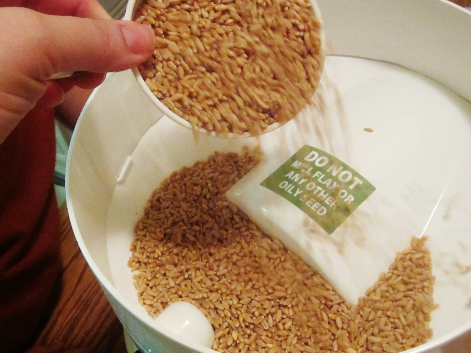 Chef Tess Bakeresse Making wholegrain flour at home in 3 Easy steps