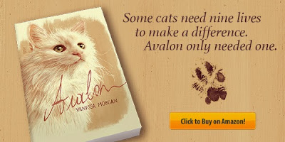book for cat lovers