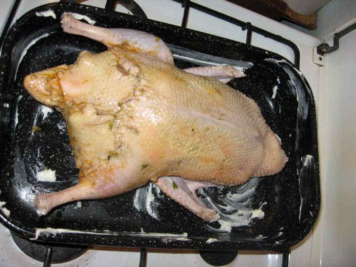 гусь фаршированный яблоками. фаршированный гусь в духовке. утка фаршированная рисом. утка с рисом в духовке. гусь с рисом в духовке.