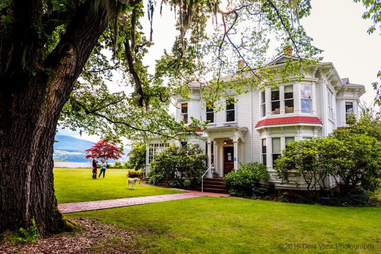 Deja View Photography December 2016