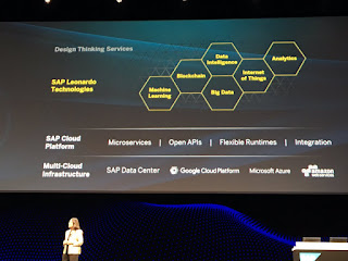 Leonardo Holger Mueller Constellation Research SAP SapphireNow 2017