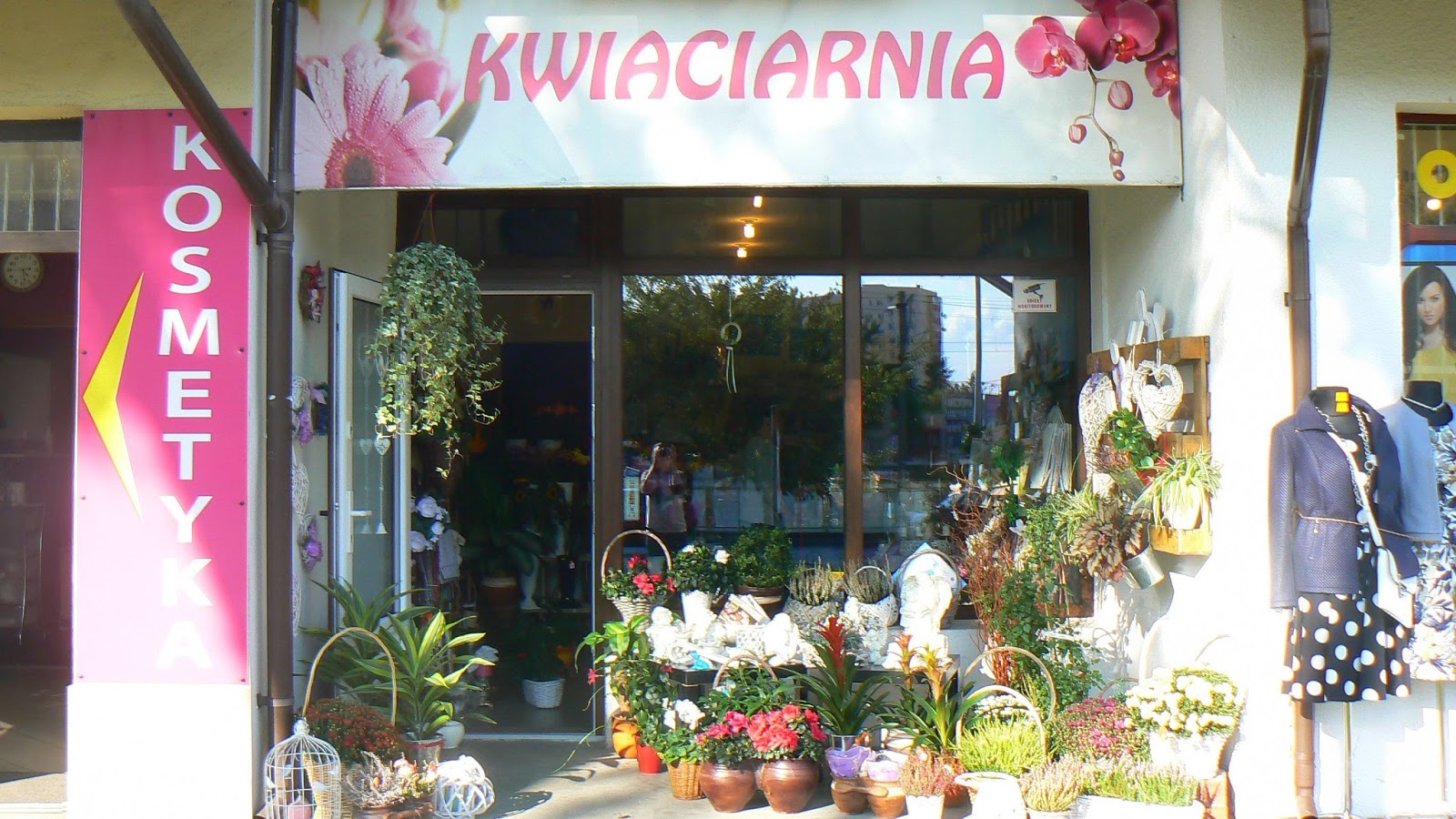 róże krótkie (40cm) czerwone/pomarańczowe kartki okolicznościowe doniczki