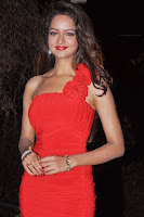 actress_shanvi_latest_stills_tollyscreen