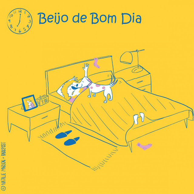 Como realmente é o dia a dia de uma mãe de shih tzu