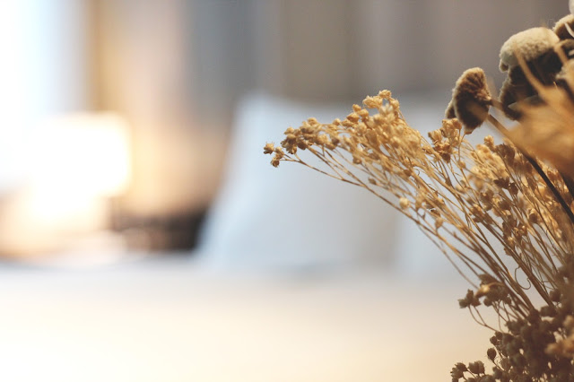 台北飯店推薦/HOTEL EAST東旅