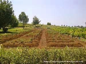 Lingkungan Hidup bersih: April 2014