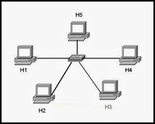 CCNA Discovery 1 - DHomeSB - Chapter 3 v4.0 Answers 2013-2014 2