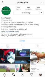 Equipepper Instagram Profile Equipepper Instagram Profile