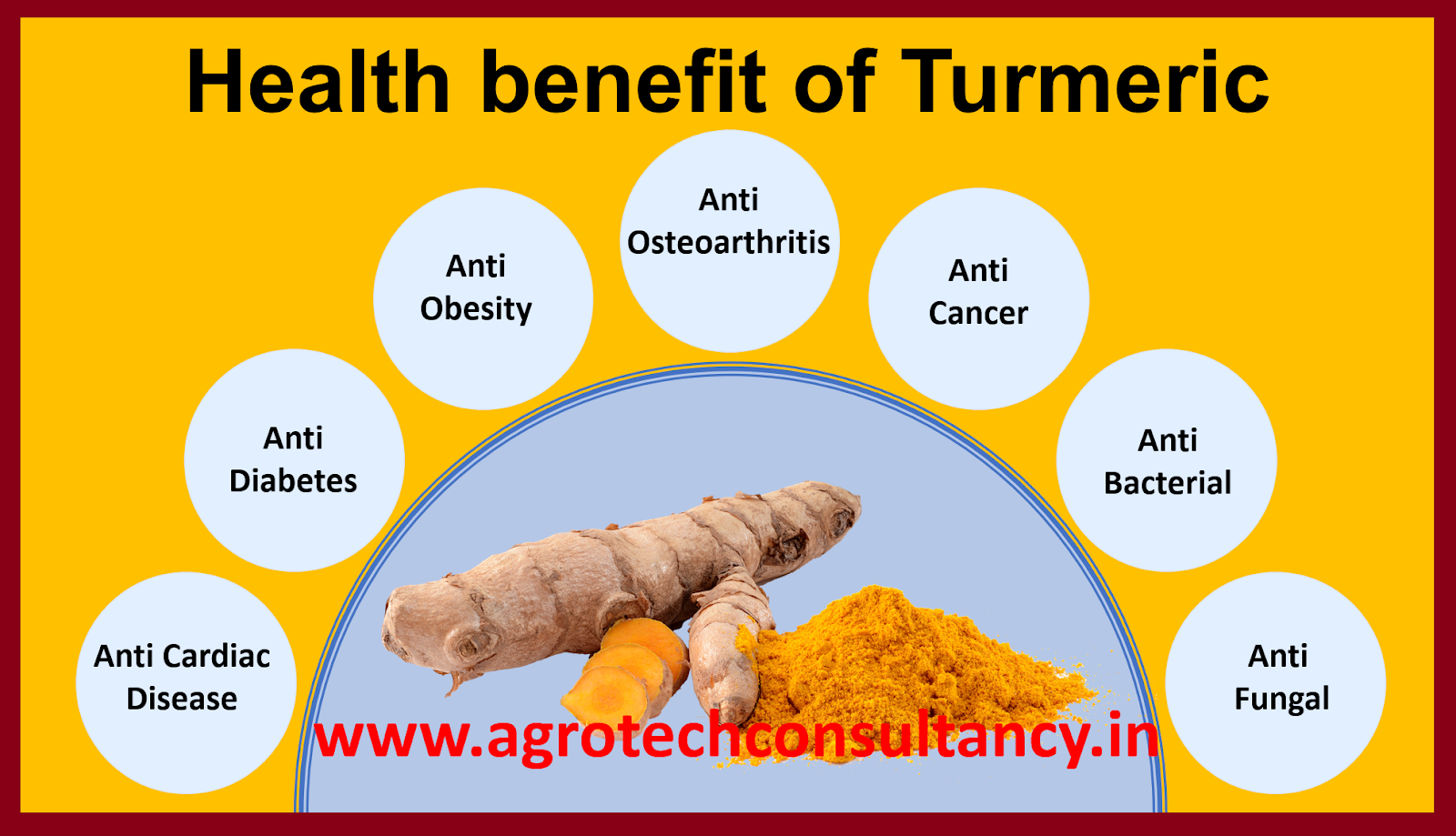 MEDICINAL AND AROMATIC PLANT Health Benefit of Turmeric / Haldi