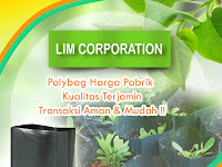 Bertanam Cabai Dalam Polybag,Kenapa Tidak?