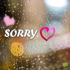 i am sorry Images