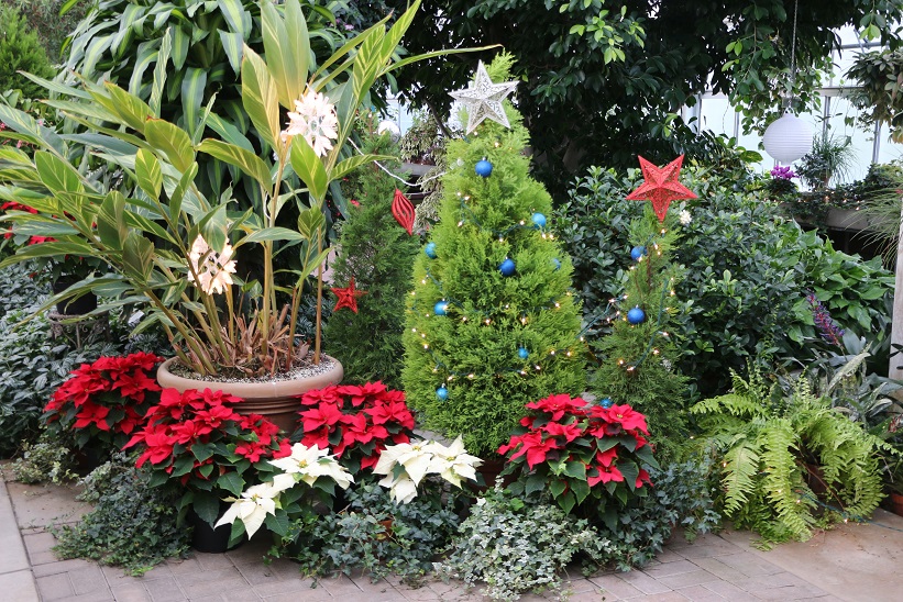 Michigan Exposures Hidden Lake Gardens Holiday Lights