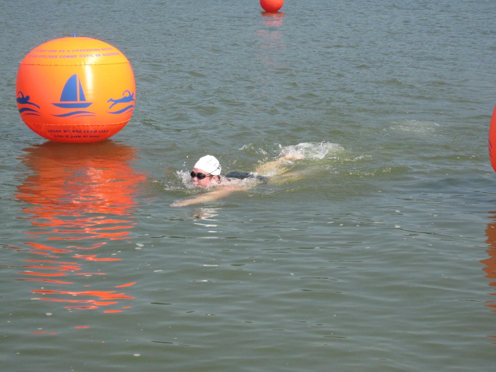 Queen City Yam Louisville River Swim