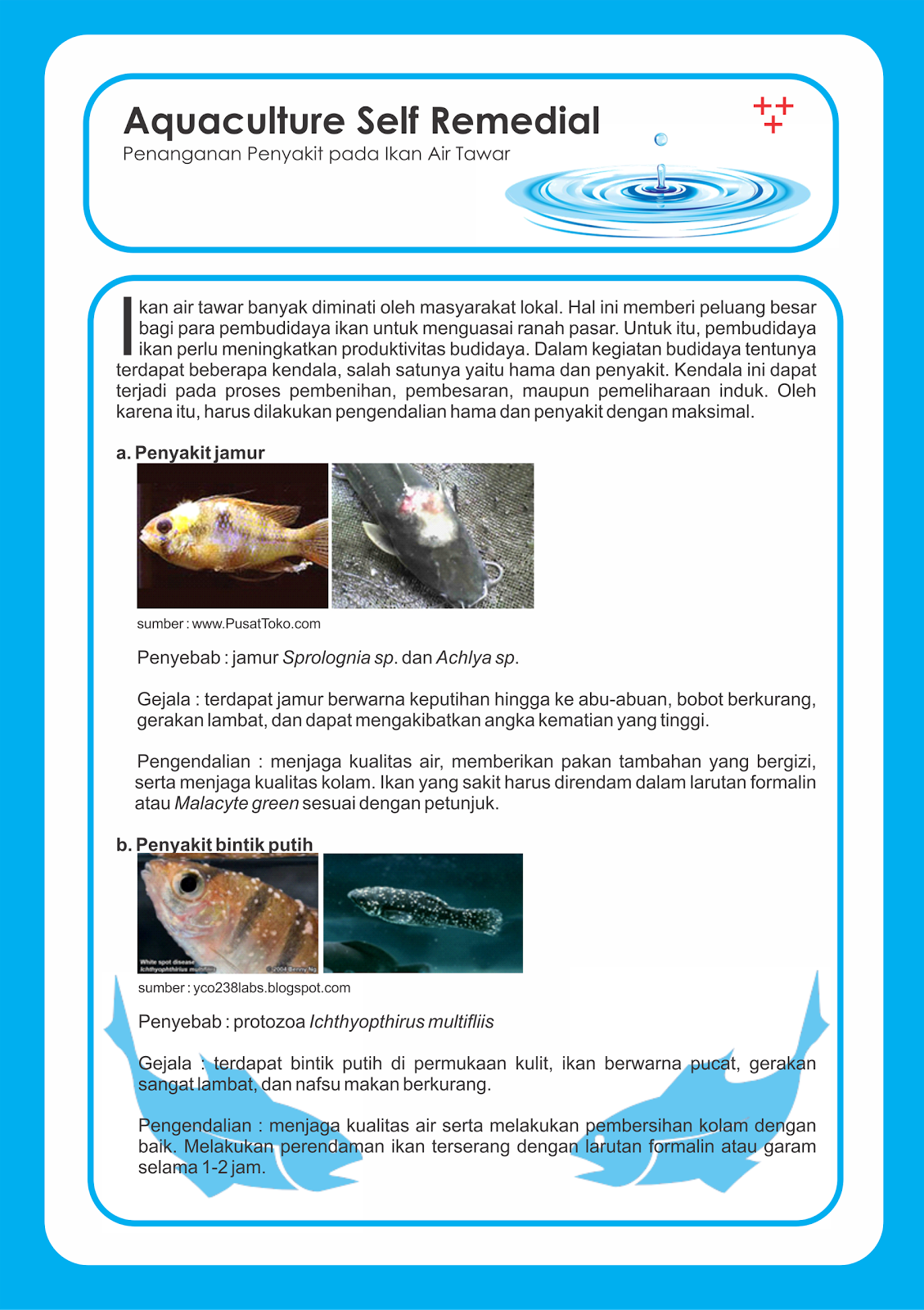 Penyuluhan Pertanian &amp; Perikanan Leaflet