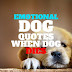 20+ Emotional Dog Quotes When Dog Dies RIP my Dear Dog