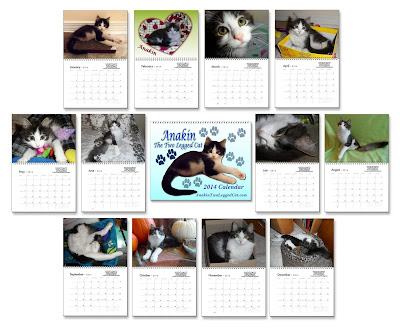 Anakin The Two Legged Kitten 2014 Cat Calendar