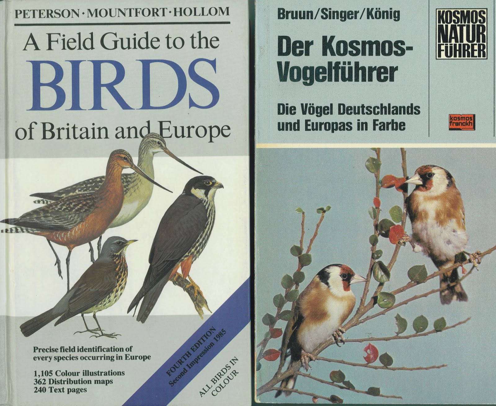 Hauptschulblues Februar 2018