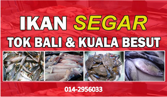 Ikan Segar Tok Bali: Tempahan Ikan dan Hasil Laut Segar dari Tok Bali