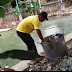 KPPL - AMPHIBI Bojong Menteng Terus Lakukan Bersih Sampah Situ Rawa Gede