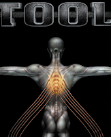 tool 10000 days album download tool 10000 days album download
