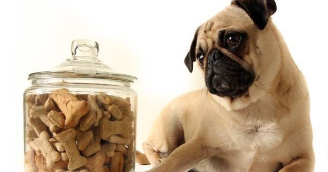 Handmade Dog Treats Uk Private Label Handmade Dog Treats Uk Private Label