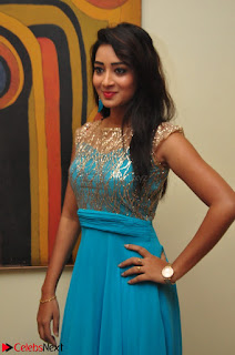 Bhanu Tripathi in Sleeveless Floor Lenght Anarkali gown At Desire Exhibition Launch 009