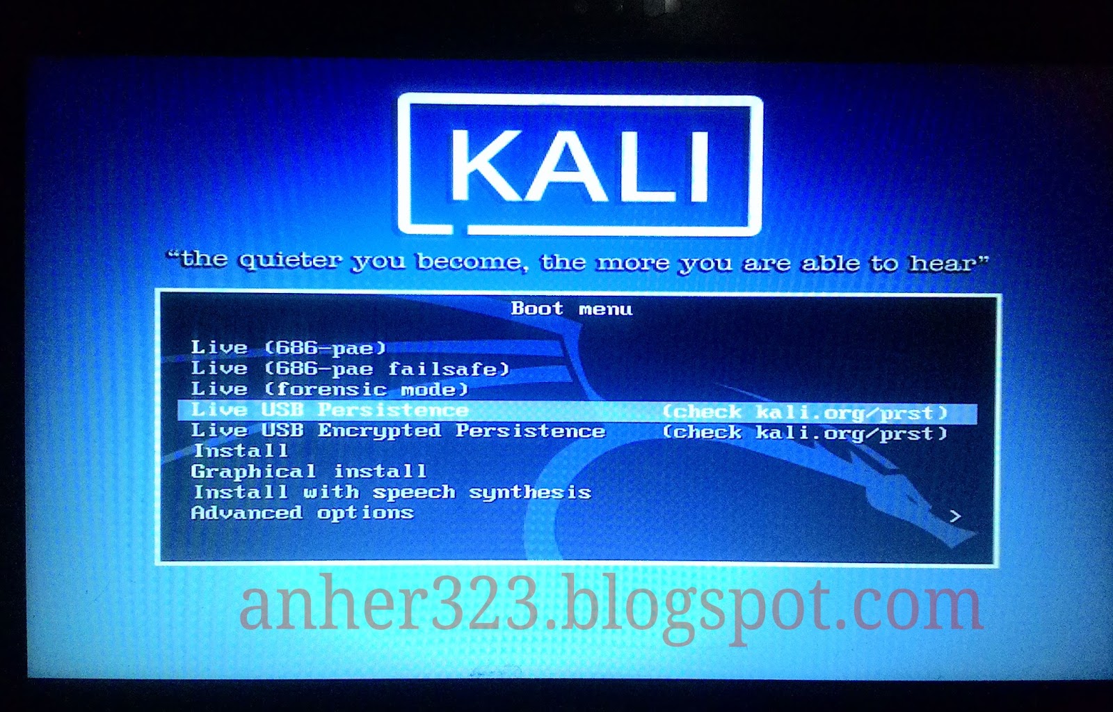 Kali linux live. Usb накопитель хакера. Kali linux live boot. Kali linux live boot. Загрузочная флешка kali linux.