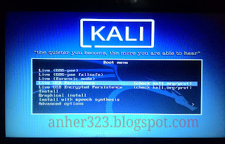 boot Live USB Persistence