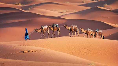 Kisah Wali Allah Yang Bertaubat