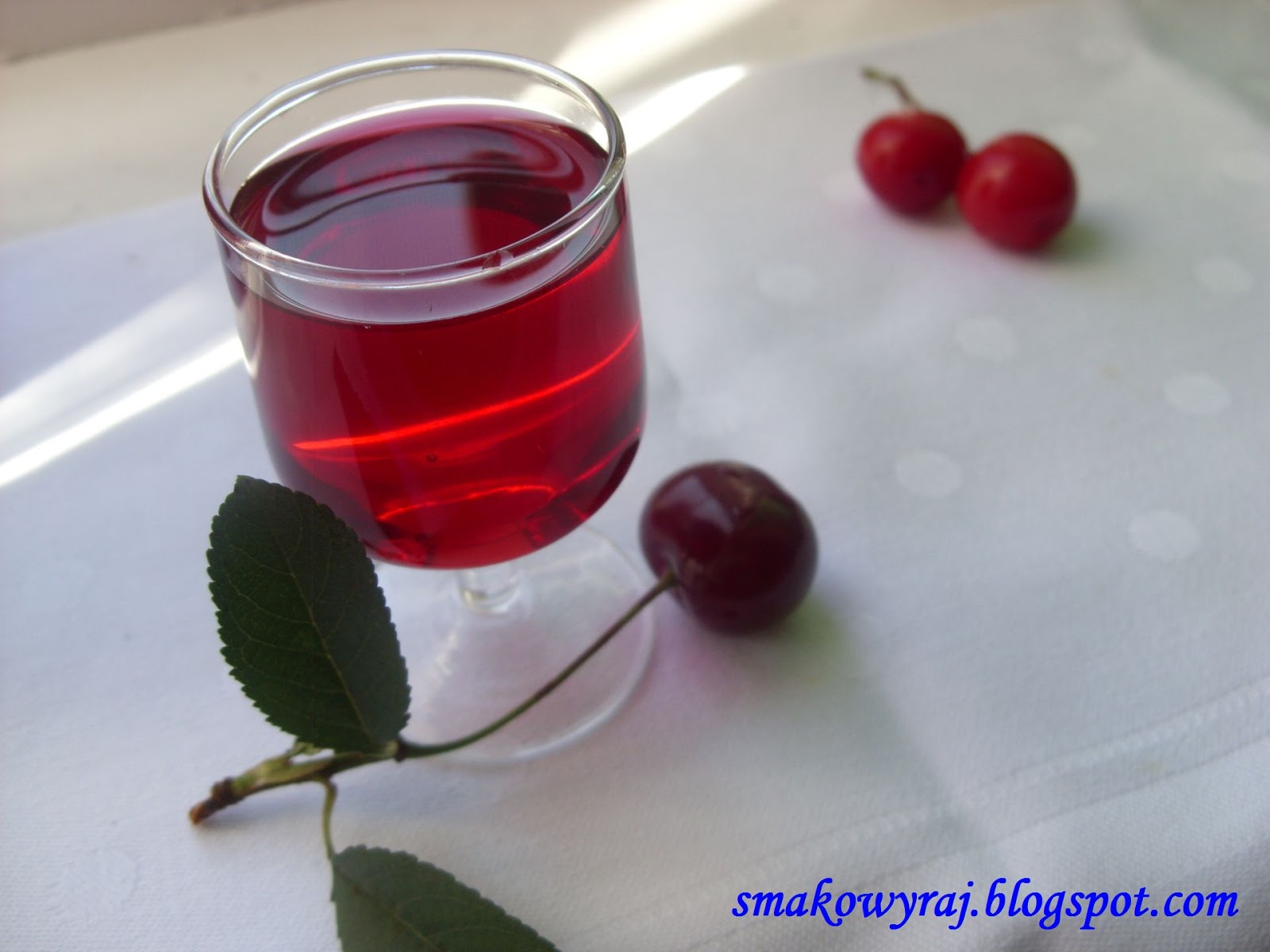 Smakowy Raj blog kulinarny Wiśniówka
