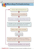 FISIOPATOLOGIA DE LA ASCITIS