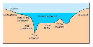 fosas oceanicas