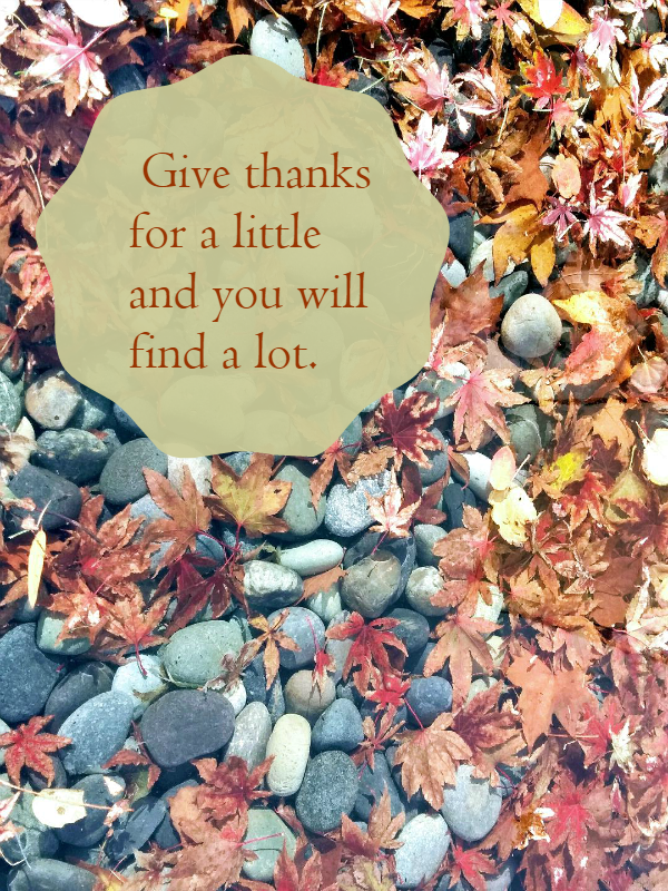 Give Thanks For A Little And You Will Find A Lot [ Being Ron ]