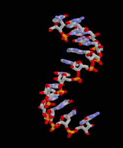 cantidad de cadenas del adn bio tres prote 205 nas y adn cantidad de cadenas del adn bio tres prote 205 nas y adn